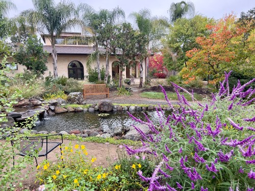 Sonoma Ashram 4941web