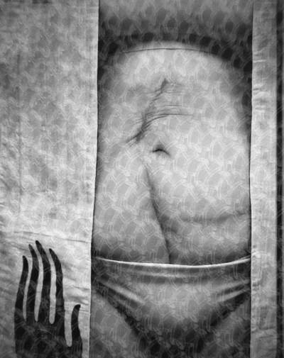 Emergence web Emergence web