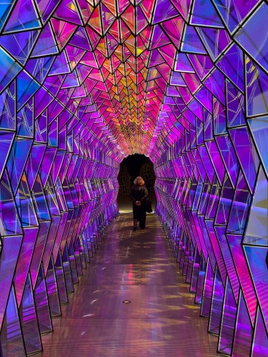 Colored Light Bridge 8365