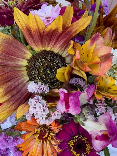 Guru Purnima Flowers 8703