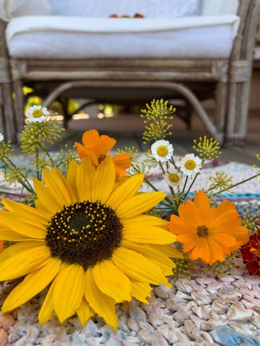 Guru Purnima Flowers 8742