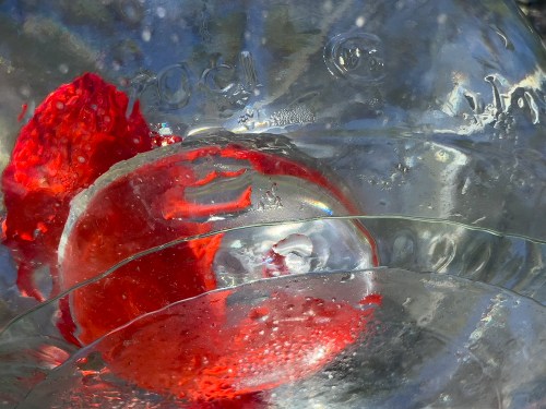 Flowers thru Water 9224