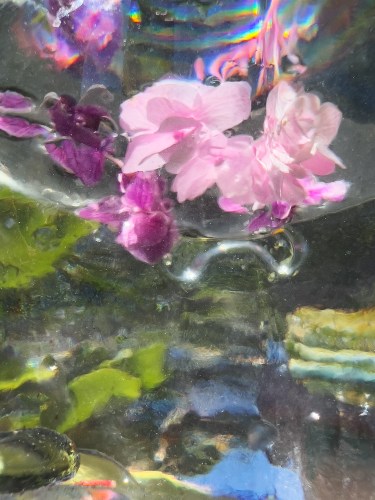 Flowers thru Water 9232