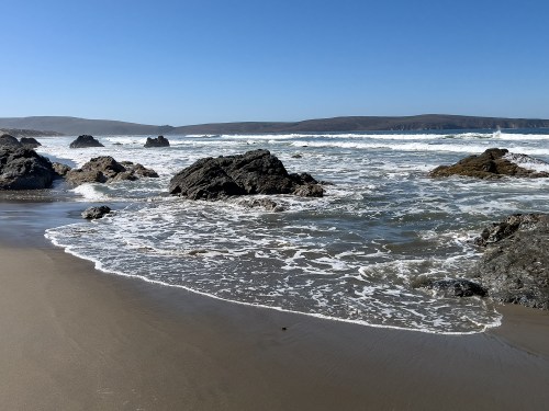 Dillon Beach 0168