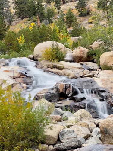 RMNP 0040