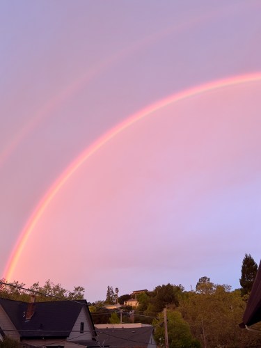 03Oct Rainbow 0441