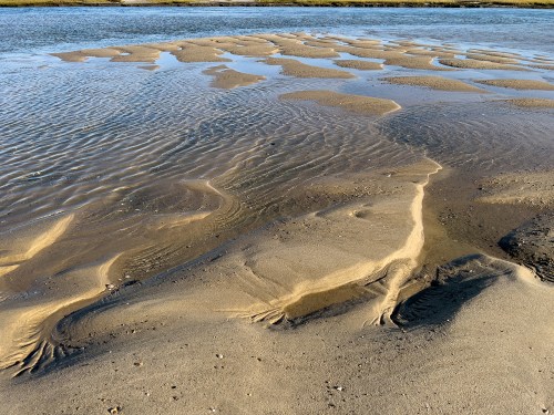 04Oct Cape Cod Marsh Beach 0346