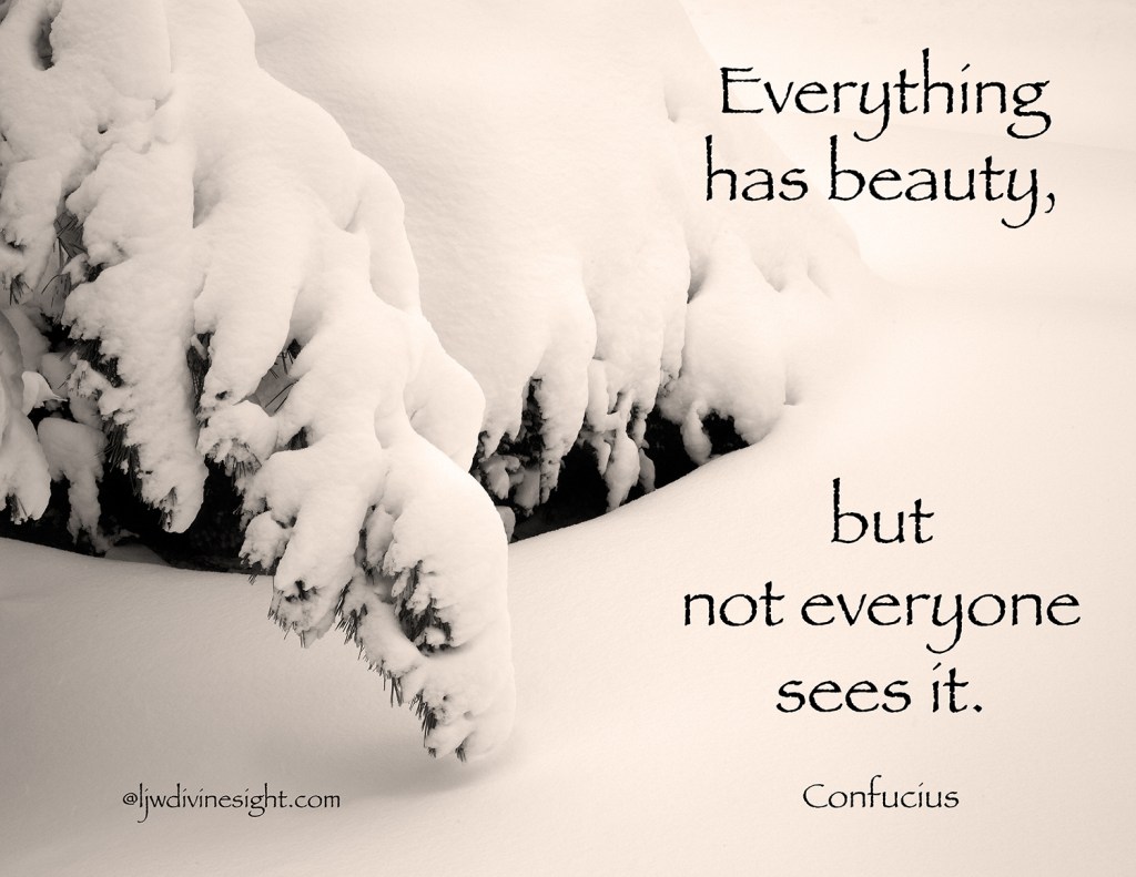 02 Not everyone Sees Beauty