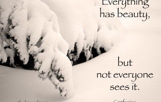 02 Not everyone Sees Beauty