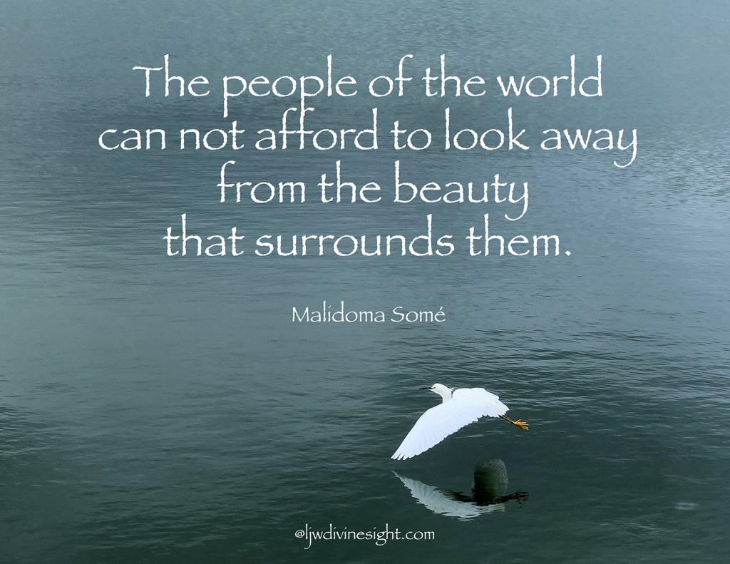 06 World of beauty Malidome Some