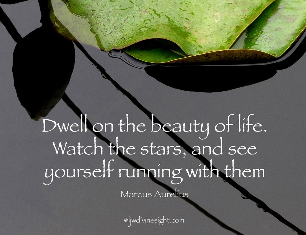 08 Dwell of beauty Marcus Aurelius