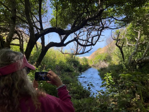 Susan walk best of year