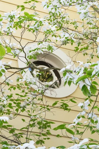 06 Dogwood with Window