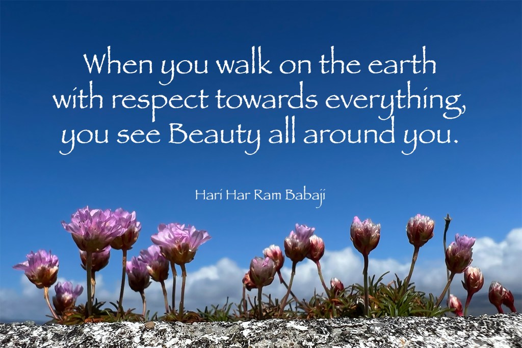 07 Walk w Respect Babaji