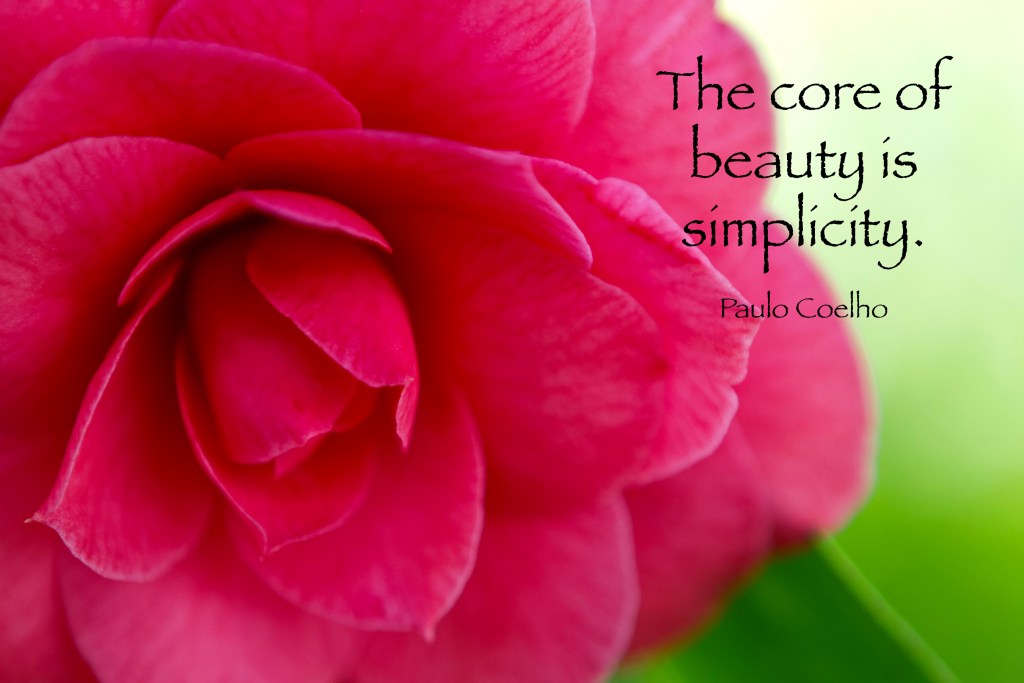 10 The Core of Beauty Coelho