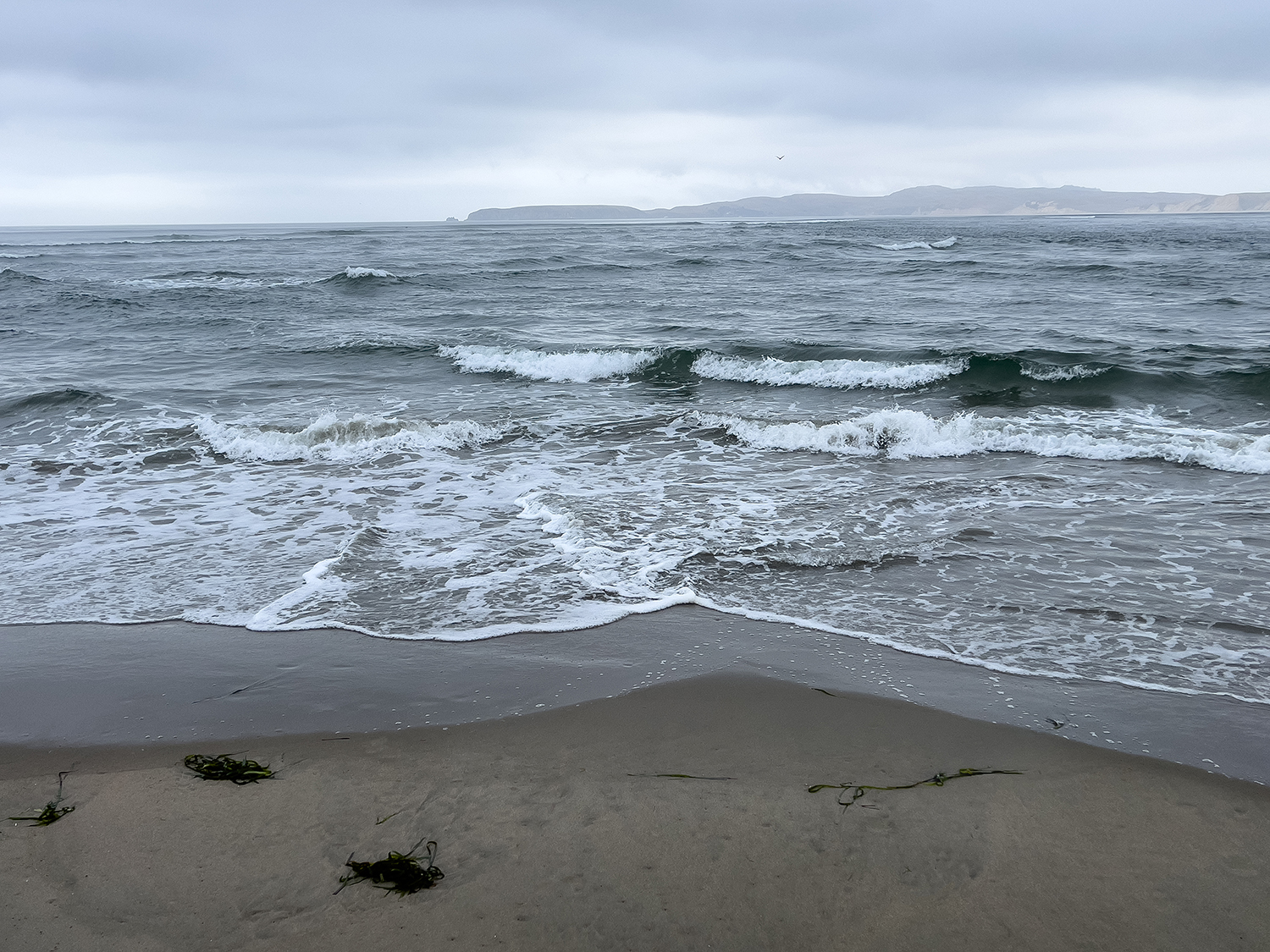 Limantour on Foggy Day