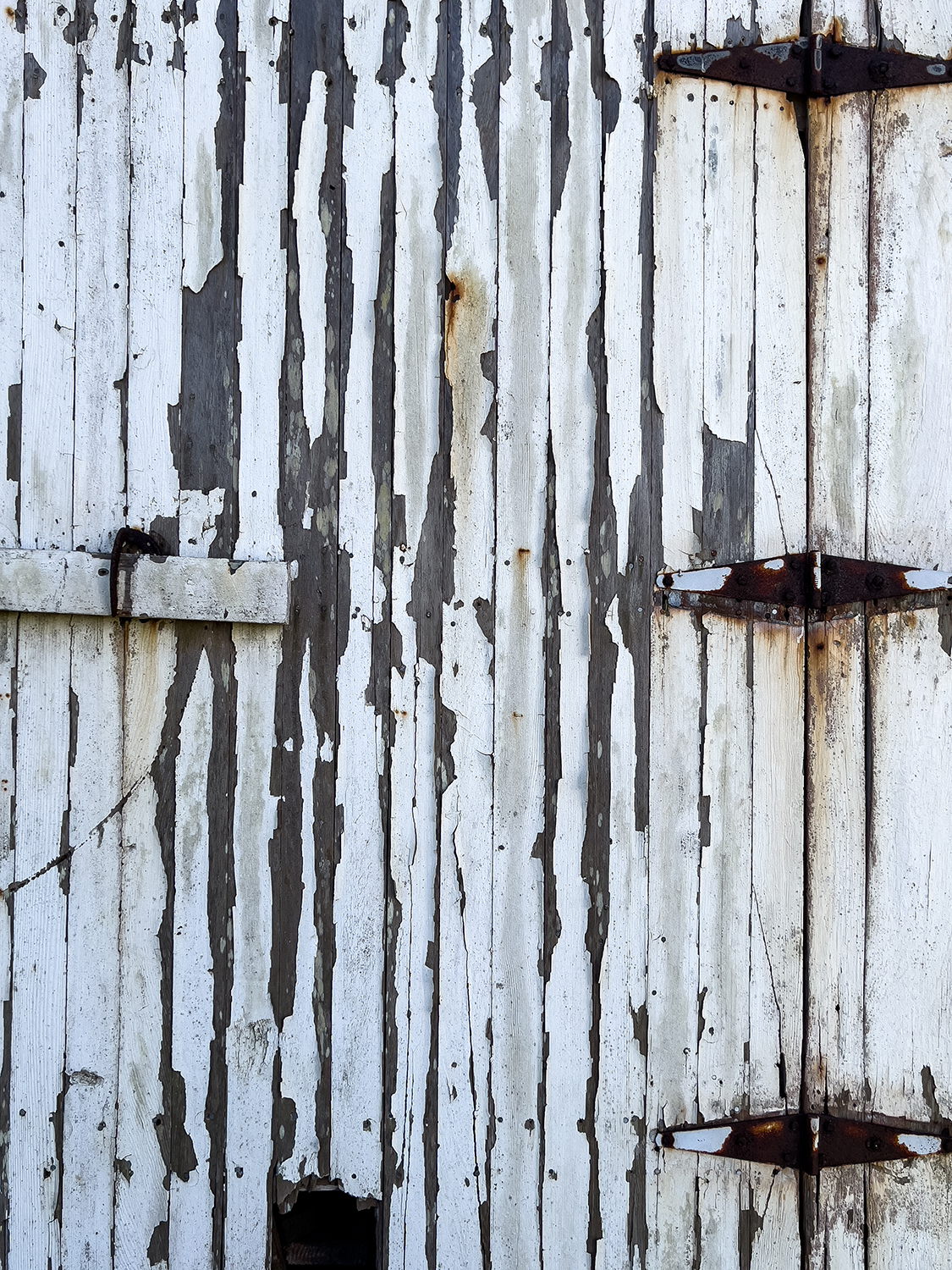 04 Hinges 4133