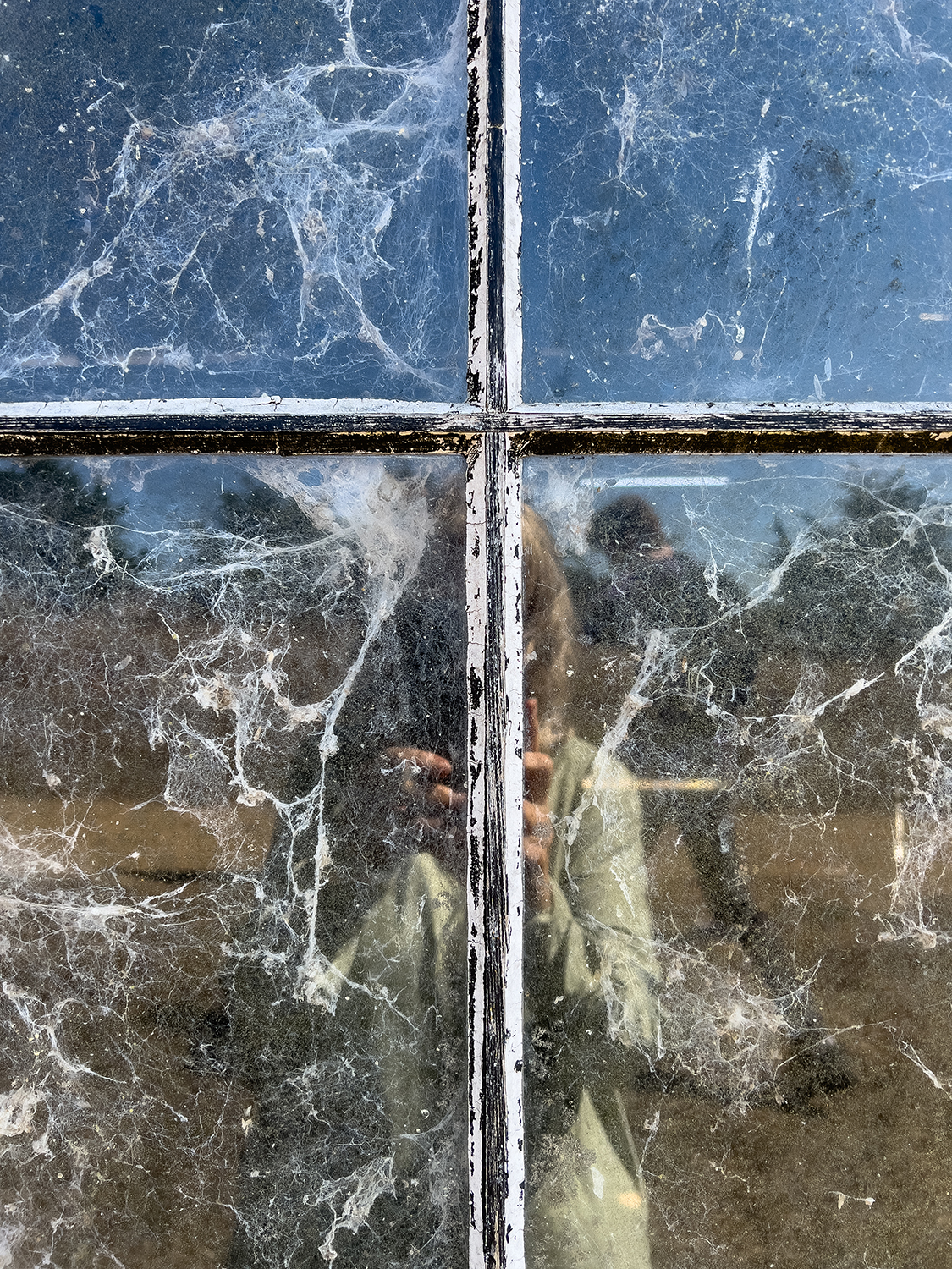 05 Cobwebs in Window 4107