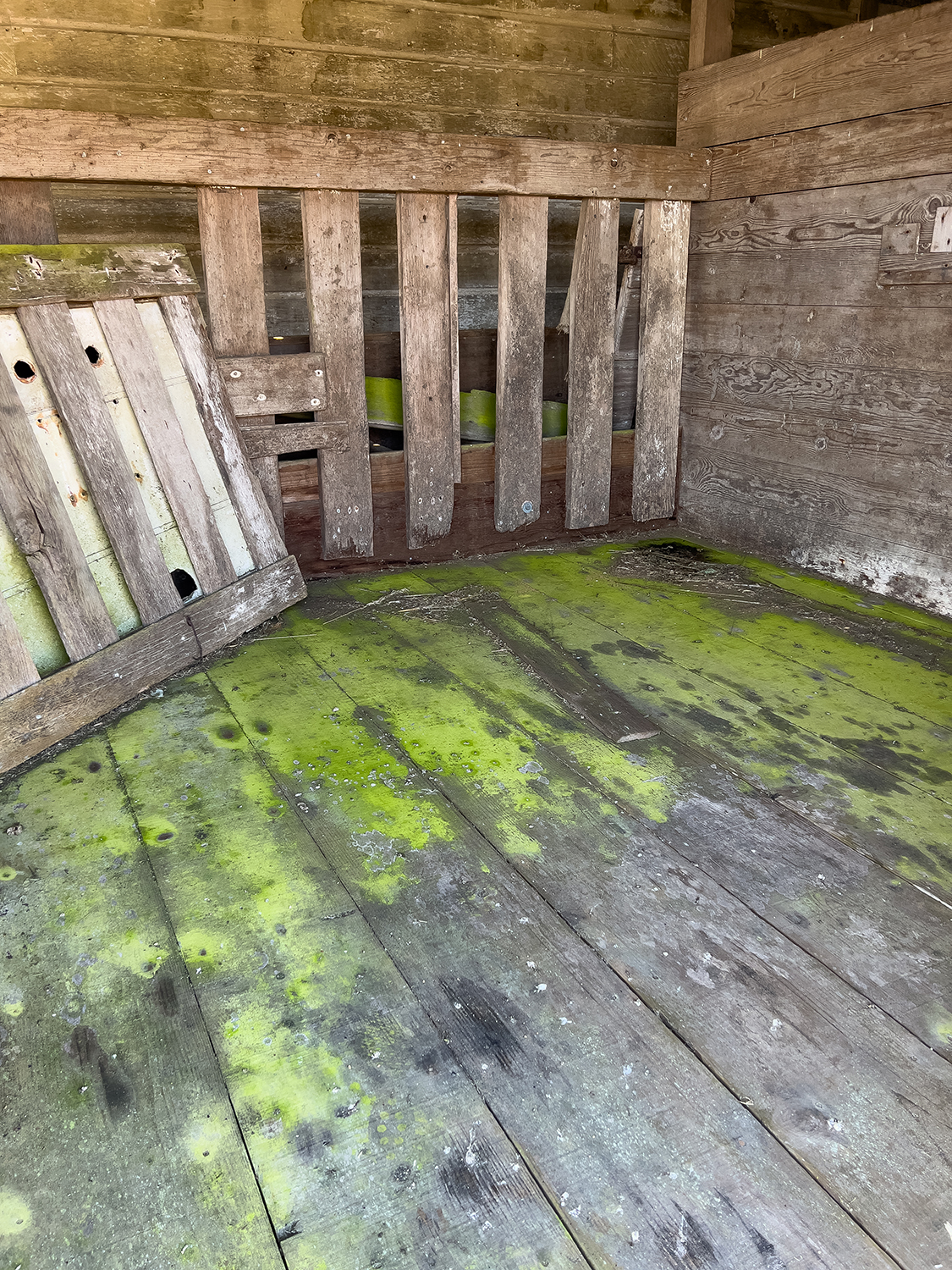 06 Old Horse Stall 4123