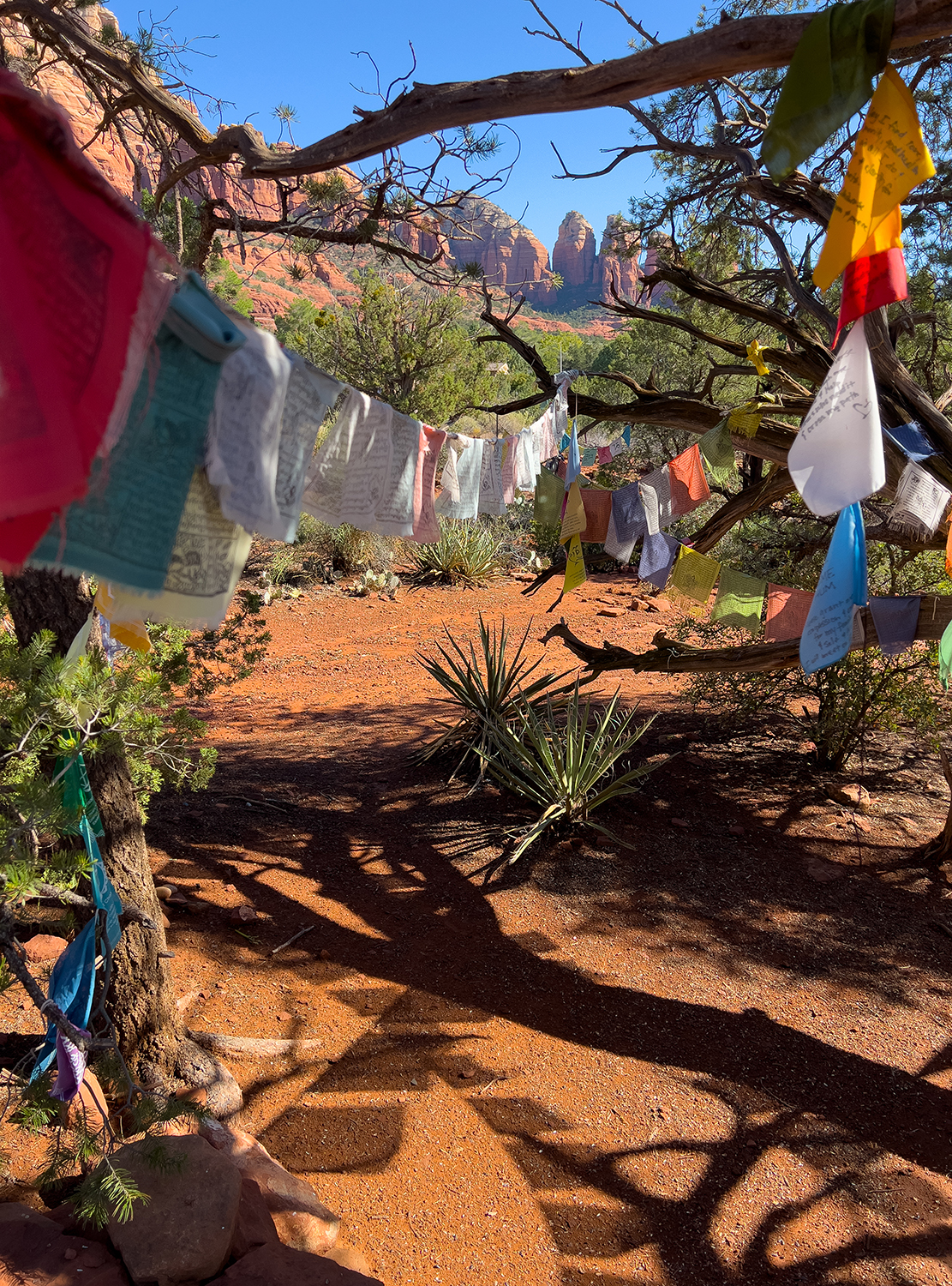 09 Amitaba Peace Park 4249