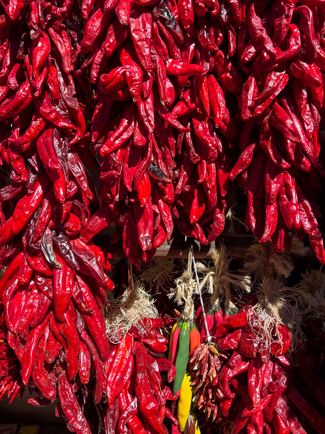 17 Dried Chilis 4429