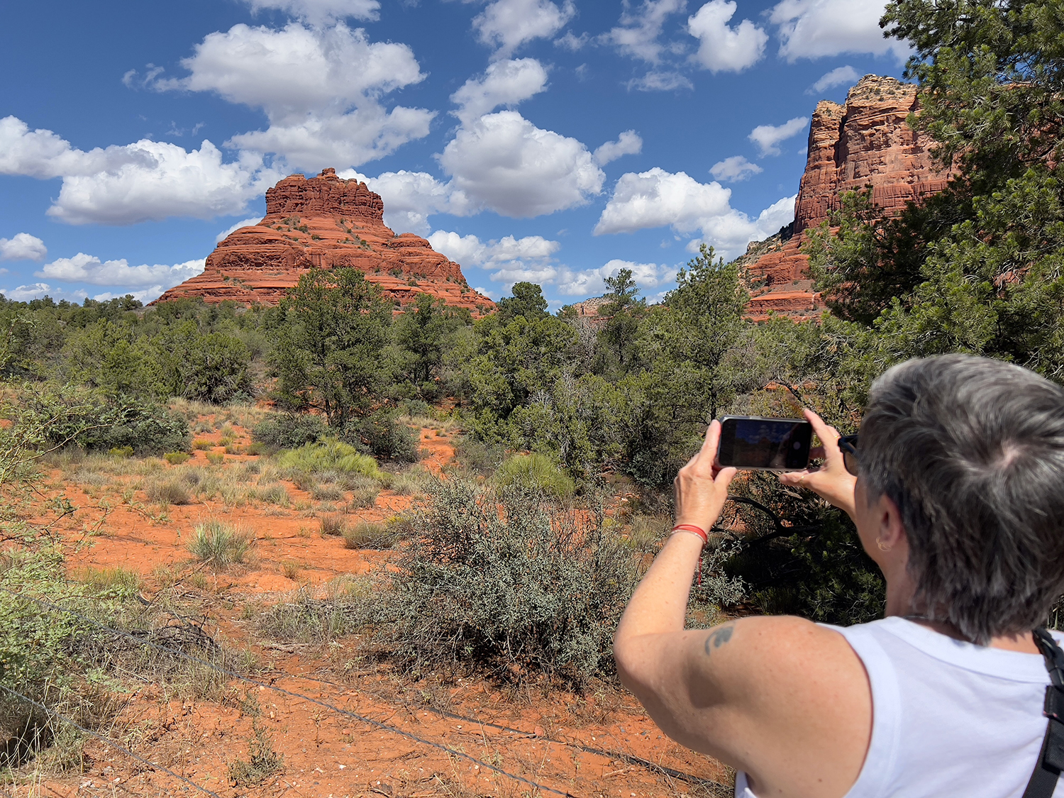 Bell Rock Elvina 4329