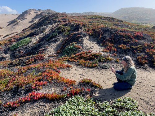 NorthBeach PRNS Susan