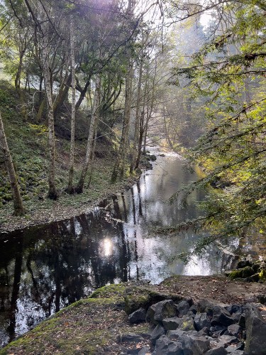 Lagunitas Creek 5471