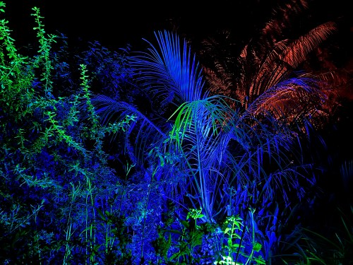 LightScape Jungle 5395