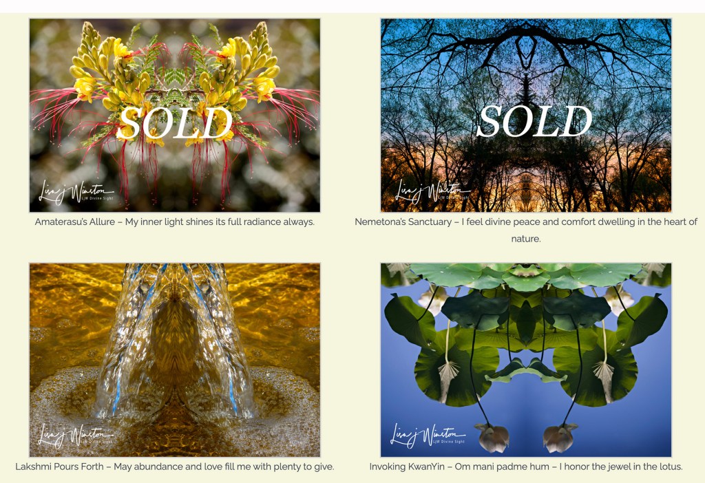 Divine Reflections 01 04 for Sale 26x20 framed