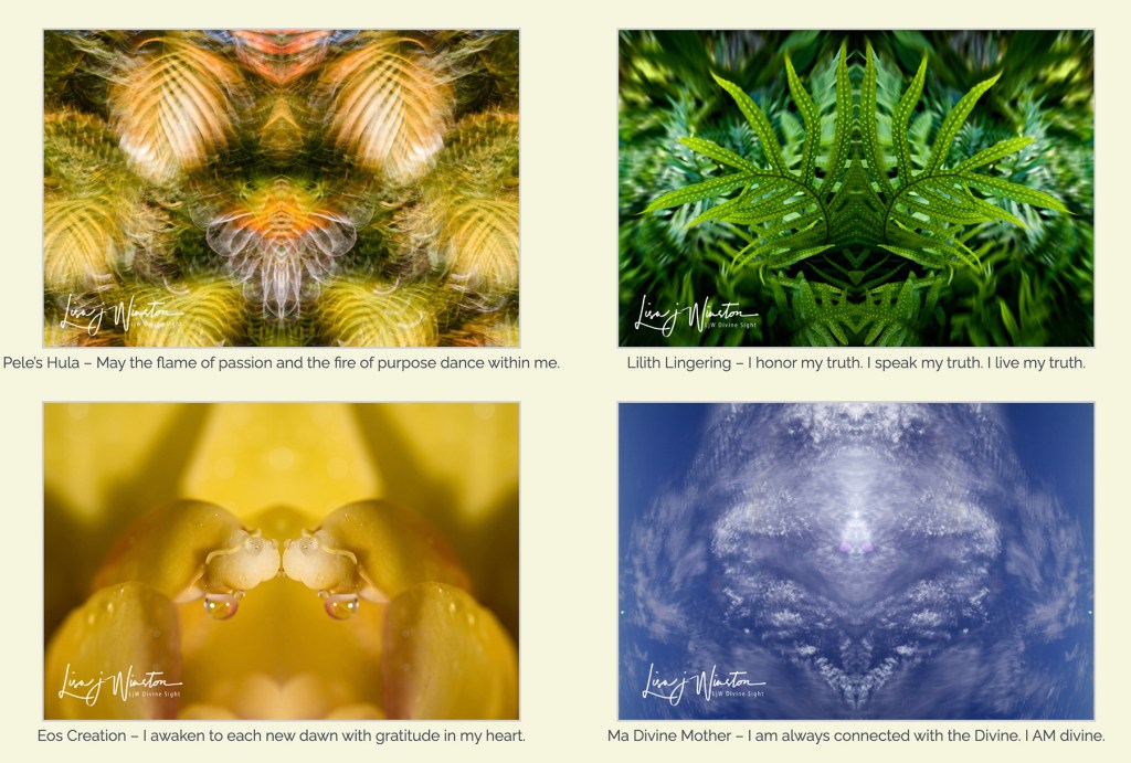 Divine Reflections 05 08 for Sale 26x20 framed