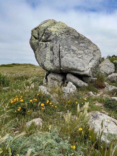Stone Sentinal 6871