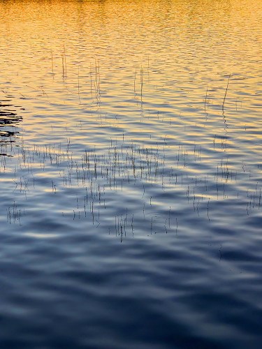 Holbrook Pond 02 7953