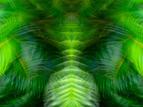 Spinal Tap
