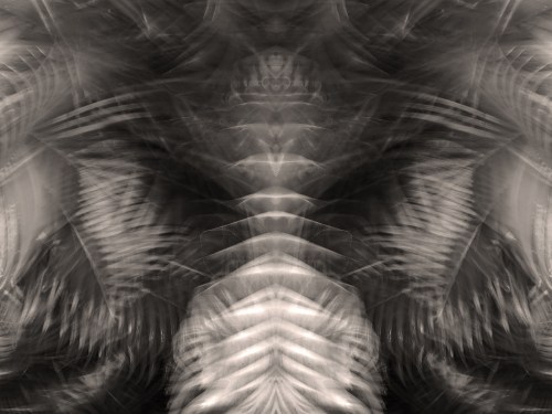 Spinal Tap Sepia