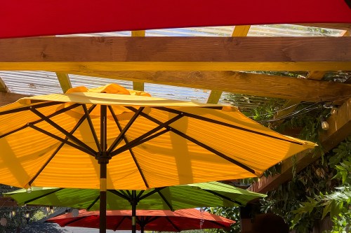 Umbrellas 8126