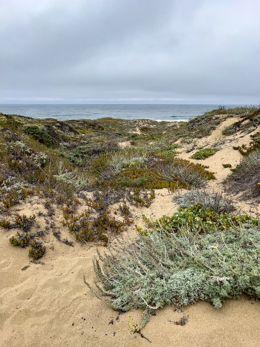 Abbotts Lagoon Beach