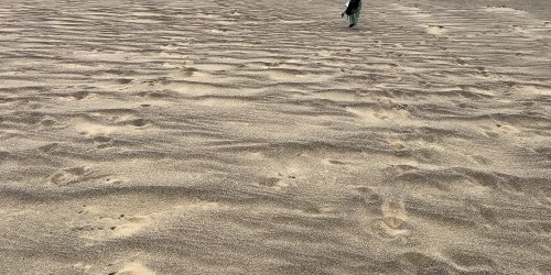 Sculpted Sand Dune